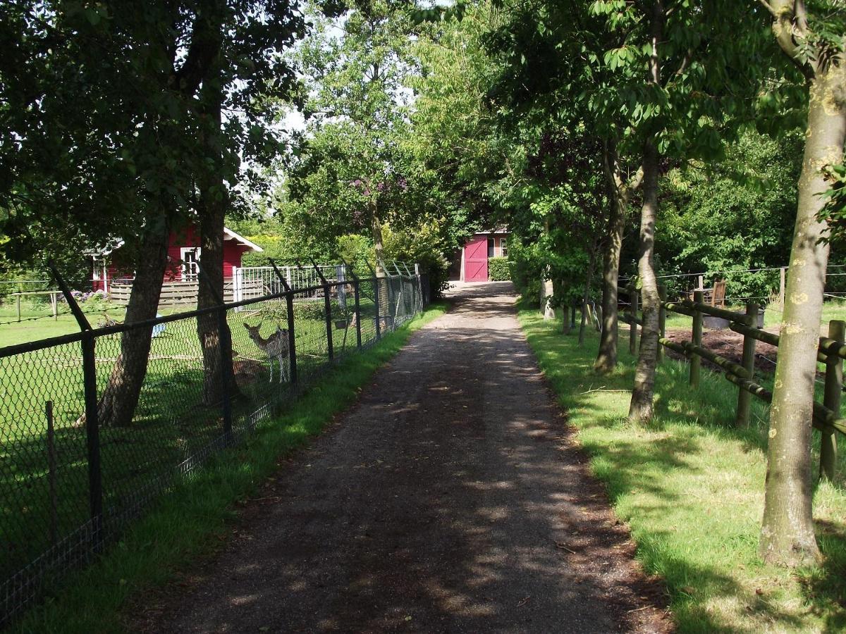 Vakantiehuisjes Landgoed Sonneborghe Коллюмерсвеах Екстер'єр фото
