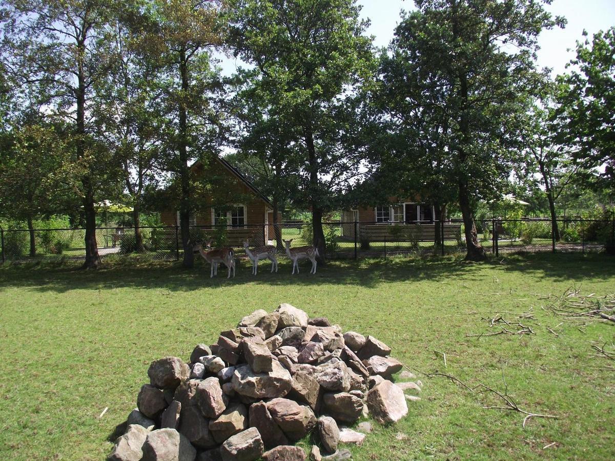Vakantiehuisjes Landgoed Sonneborghe Коллюмерсвеах Екстер'єр фото