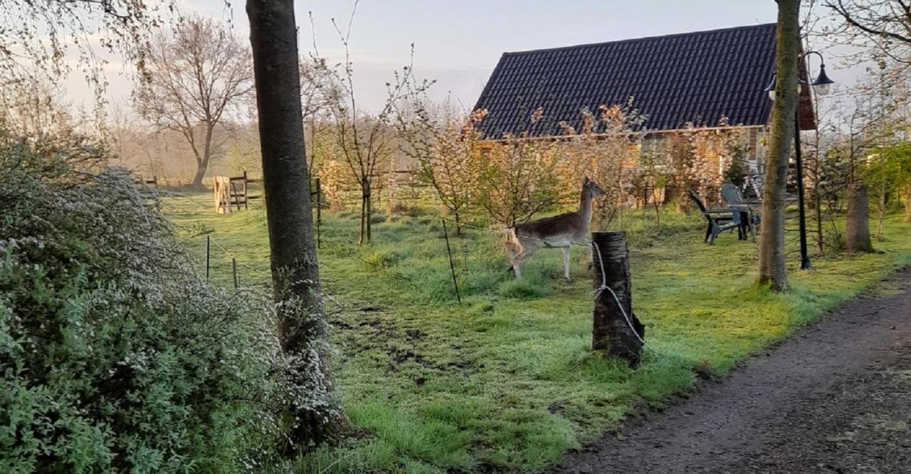 Vakantiehuisjes Landgoed Sonneborghe Коллюмерсвеах Екстер'єр фото