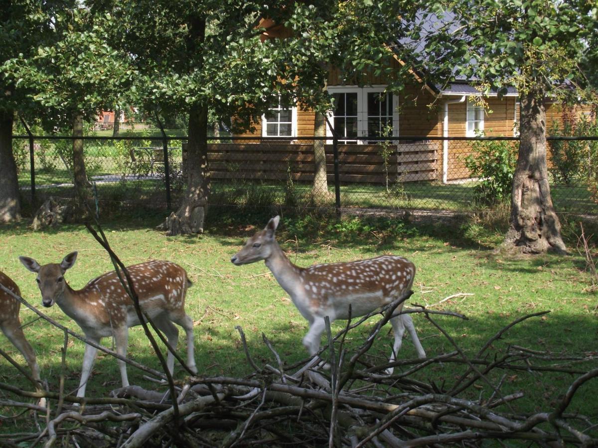 Vakantiehuisjes Landgoed Sonneborghe Коллюмерсвеах Екстер'єр фото